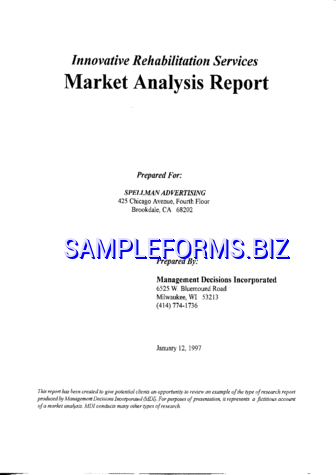 Market Analysis Template 2 pdf free